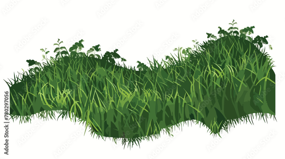 Bangladesh country Grass and ground texture map flat