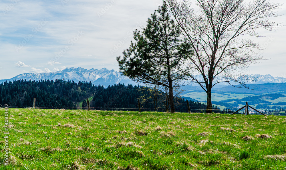 Góry, panorama Tatr w Polsce wiosną, widok z polany w Pieninach.