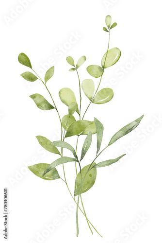 Leaves watercolor hand painting floral botanical illustration. Green leaf, plants, foliage, branches isolated on white background.