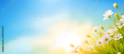 The sun shines brightly over a blossoming tree, casting a golden glow on the vibrant flowers in full bloom