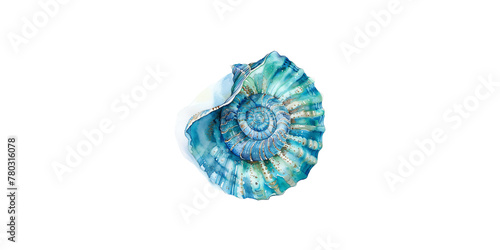  Watercolor illustration of seashell, turquoise and teal colors, white background © wanna