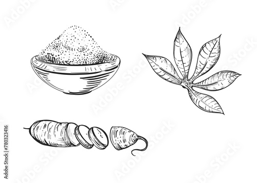 Obraz na płótnie Hand drawn sketch black and white illustration of cassava, manioc, root, leaf