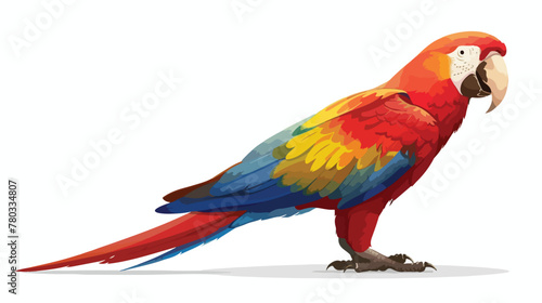 Cartoon funny parrot isolated on white background flat