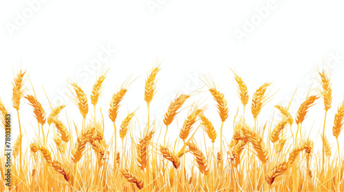 Golden wheat field flat vector isolated on white background