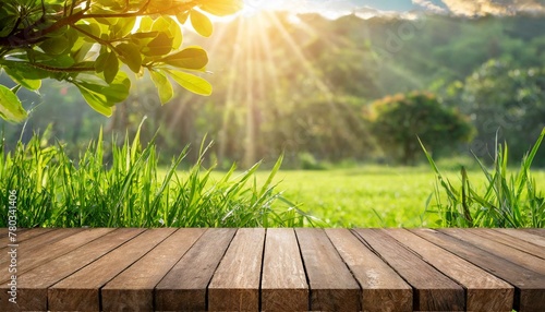 Garden Oasis: Wooden Floor Bathed in Sunlight with Lush Grass Background