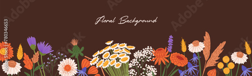 Wild and garden flowers. Frame of dry blossom plants. Place for text with border of wildflowers, meadow herbs. Horizontal banner with floral background, botanical decoration. Flat vector illustration