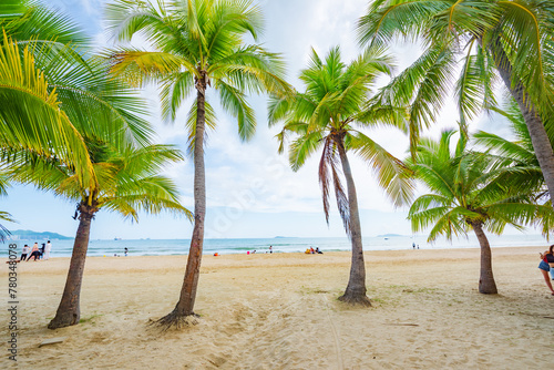 Coconut forest beach scenery at Coconut Dream Corridor in Sanya  Hainan  China