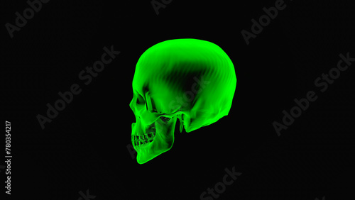 3D Rendering, Close up of human skull x-ray film on side view, human anatomy concept design, isolated on black background.