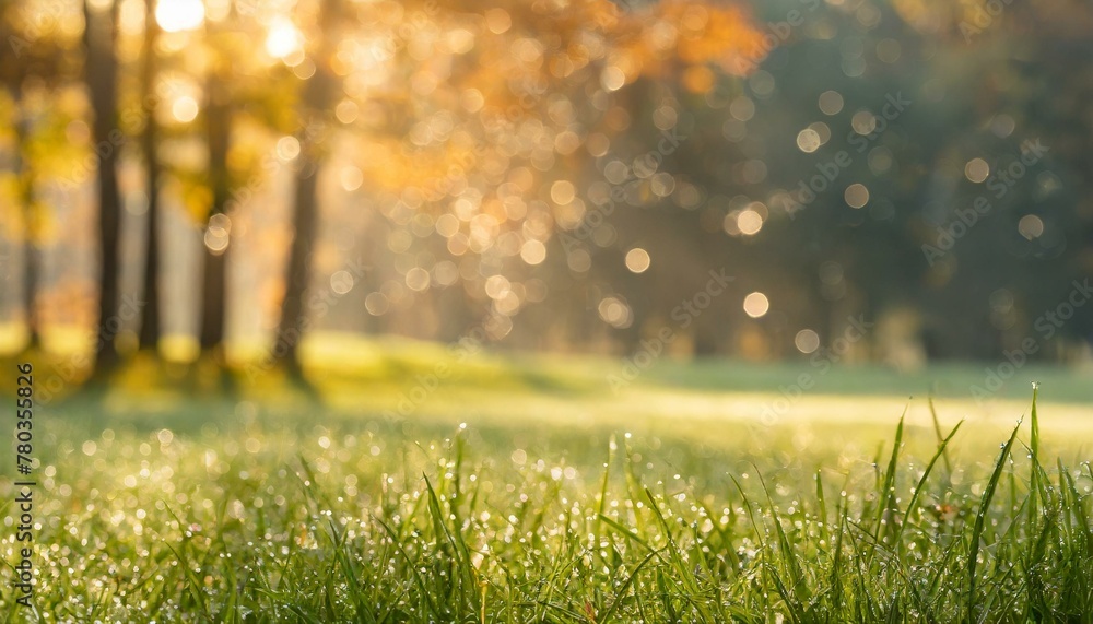 Meadow Morning Magic: Dew-Kissed Grass and Trees in Sunrise Glow Meadow Morning Magic: Dew-Kissed Grass and Trees in Sunrise Glow