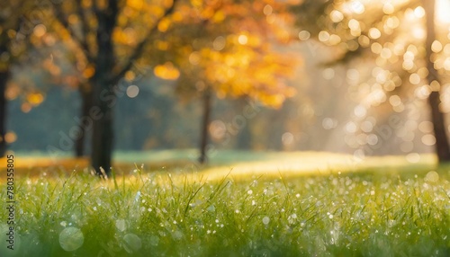 Radiant Reverie: Sunrise Glow Enhancing Dew Drops on Green Lawn