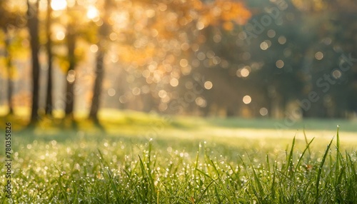 Meadow Morning Magic: Dew-Kissed Grass and Trees in Sunrise Glow