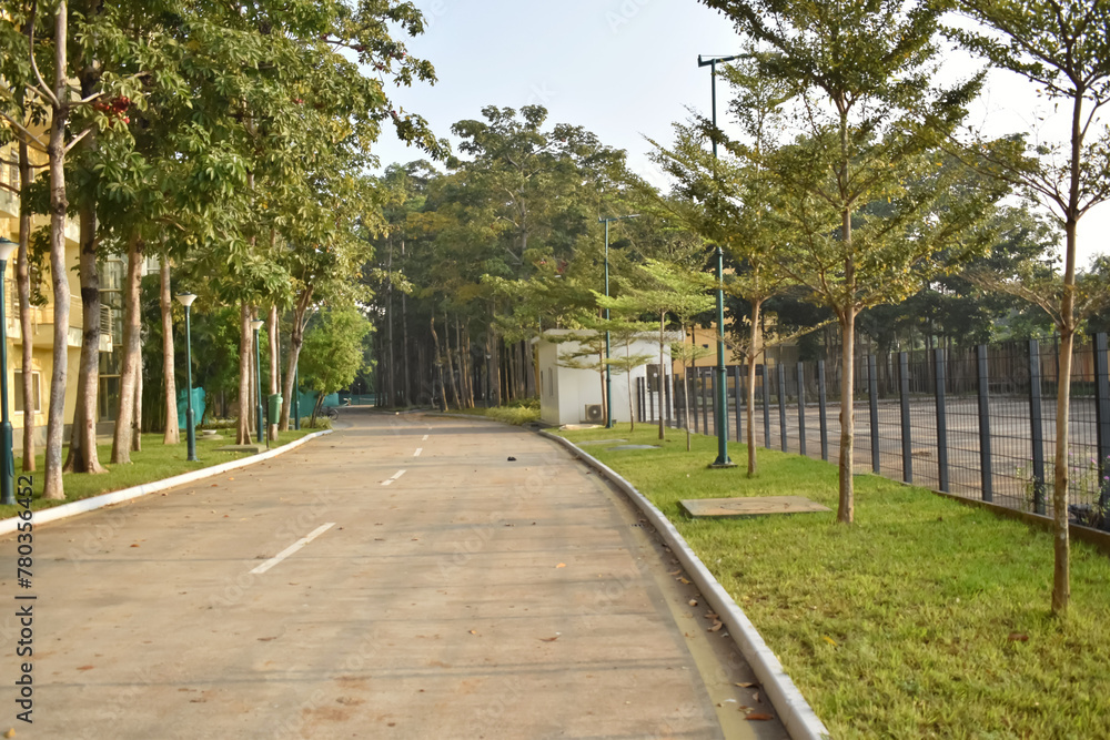 A beautiful view of a concrete road in urban area with various shrubs and tree planted.