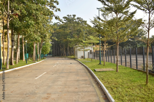 A beautiful view of a concrete road in urban area with various shrubs and tree planted.