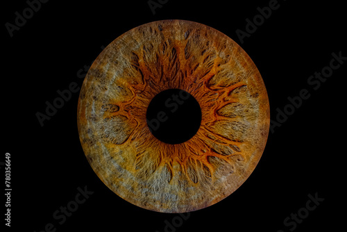 Close up of eye iris on black background, macro, photography