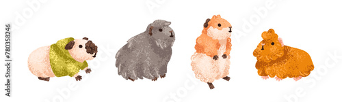 Cute guinea pigs set. Adorable funny fluffy rodent pets. Sweet amusing little cavies, baby animals. Kawaii lovely comic charming mammals. Flat vector illustration isolated on white background