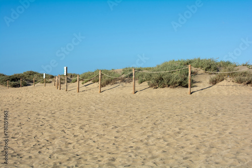 Sand dune with a fence to protect the dunes