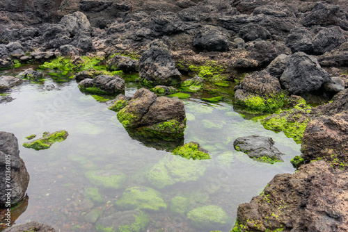 Idyllic small lake nestled among volcanic rock formations on Terceira Island, Azores. 