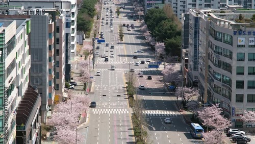 도시의 봄 the spring of the city
