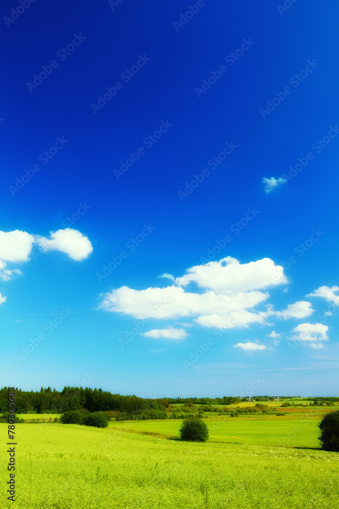 Φωτογραφία Blue sky, landscape and farm with nature in field, travel or agriculture with sustainability, growth and eco friendly