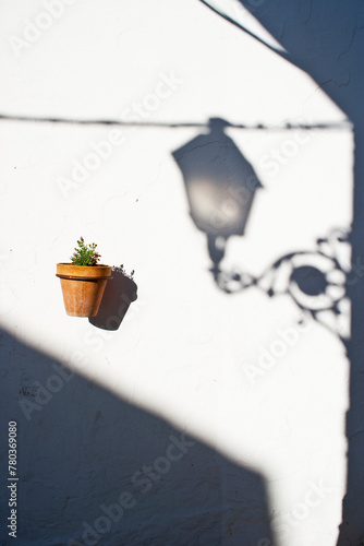 A simple terracotta pot with a green plant hangs against a white wall with an ornate shadow photo