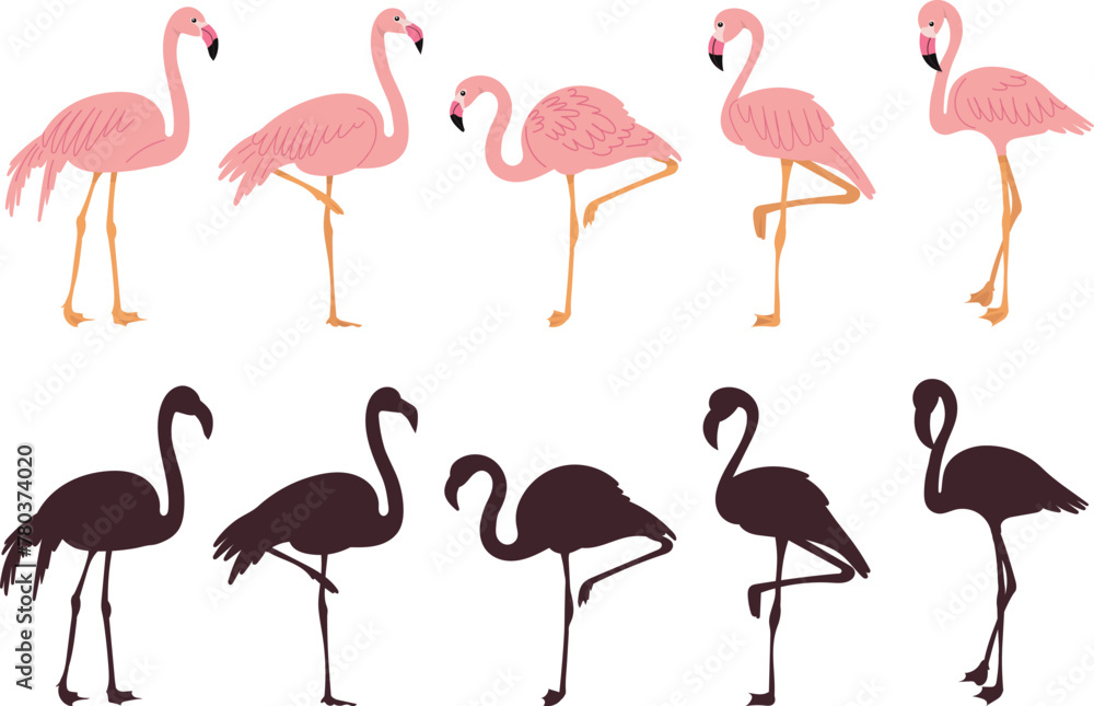 Fototapeta premium pink flamingo set in flat style on white background vector