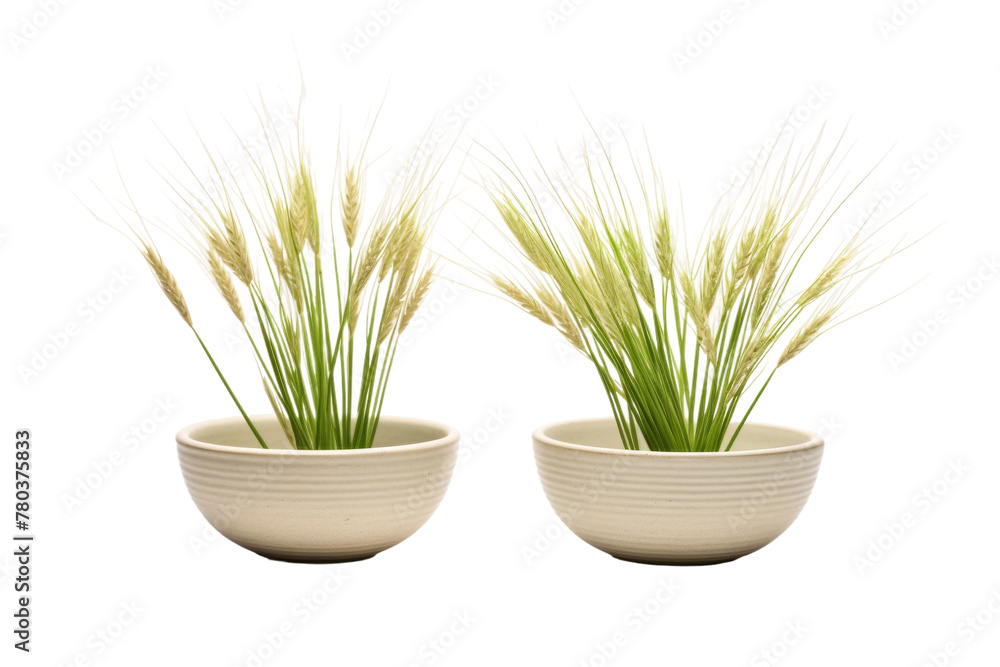 Two White Bowls Filled With Grass on a White Background. On a White or Clear Surface PNG Transparent Background. Two White Bowls Filled With Grass on a White Background. On a White or Clear Surface PNG Transparent Background.