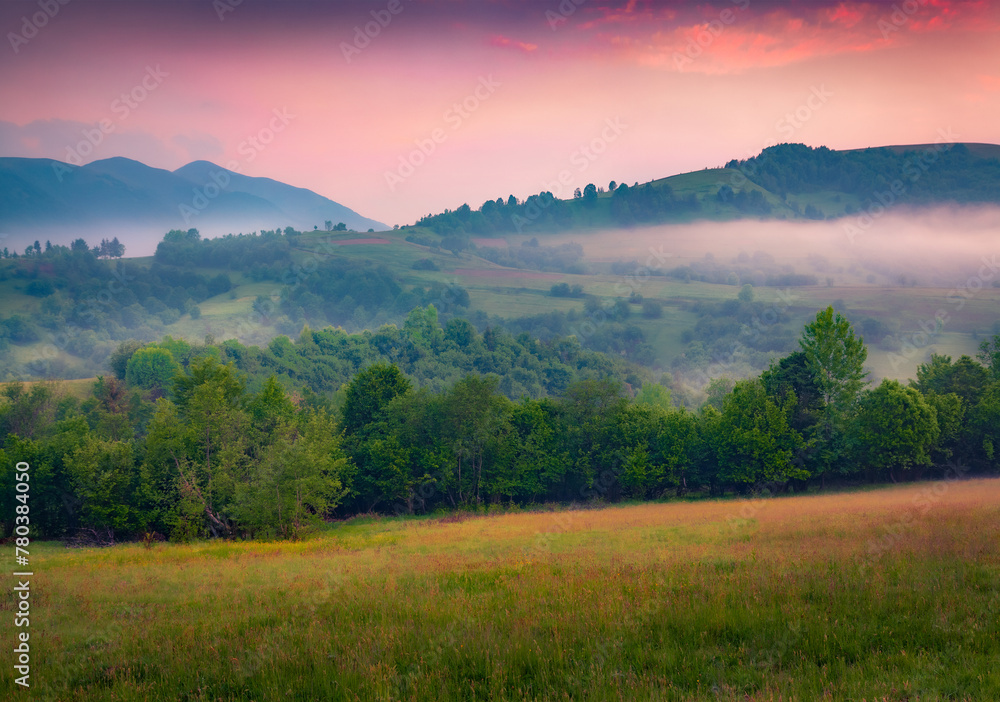 Fantastic summer view of misty rolling hills. Superb morninig scene of Carpathian mountains at June, Ukraine, Europe. Beauty of nature concept background. Fantastic summer view of misty rolling hills. Superb morninig scene of Carpathian mountains at June, Ukraine, Europe. Beauty of nature concept background.