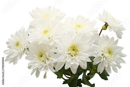 White Flowers in Vase on Table. On a White or Clear Surface PNG Transparent Background.