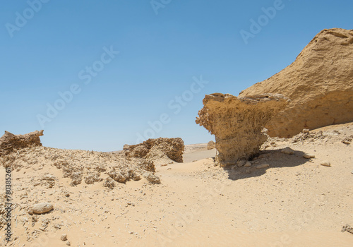 Barren desert landscape in hot climate with fossilised mangrove trees