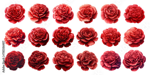 Set of watercolor illustrations of red carnation flowers