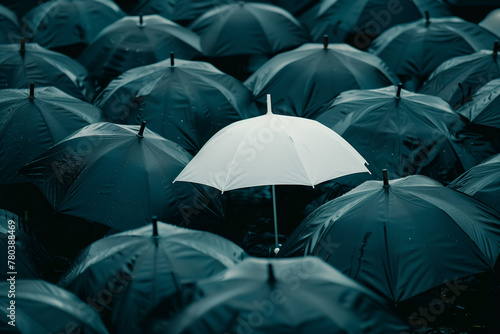 Lone White Umbrella Among the Dark. A single white umbrella stands out in a sea of dark umbrellas.