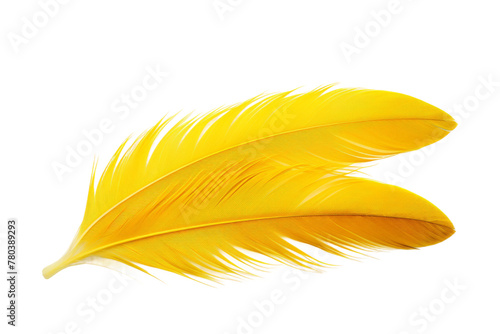 Yellow Feather on White Background. On a White or Clear Surface PNG Transparent Background.