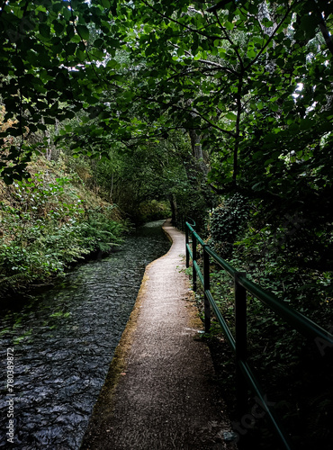 Camino del río