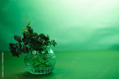 A sprig of artemisia in a glass jar