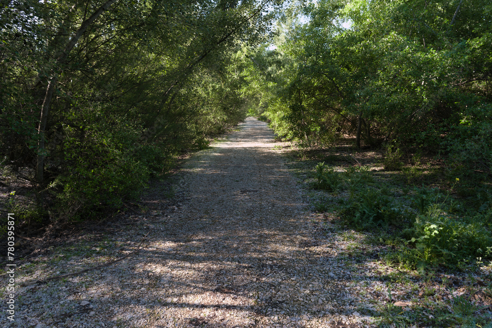 Fototapeta premium landscape, view, nature, sunrise, morning, light, spring, greene