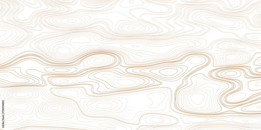 Abstract Contour Topographic Line Pattern in gray and White. Topographic map background concept with space for your copy. Abstract Contour Topographic Line Pattern in gray and White. Topographic map background concept with space for your copy.