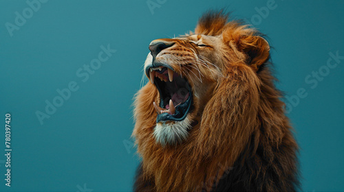 a roaring lion  studio shot  against solid color background  hyperrealistic photography  blank space for writing