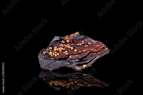 Mimetite on limonite matrix. from El Potosi mine  Santa Eulalia  Chihuahua  Mexico. photography isolated on black background. macro detail close-up rough raw unpolished semi-precious gemstone. 