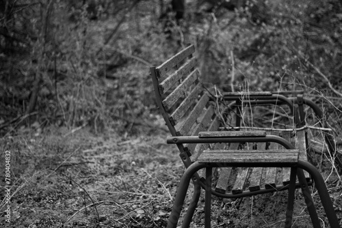 Black and white photo of a park bench in the woods