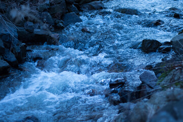 Keuken achterwand Bosrivier Wilde rivier door dicht bos  © Eric