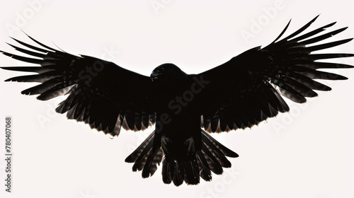 A silhouette of a black bird with its wings fully spread soaring gracefully