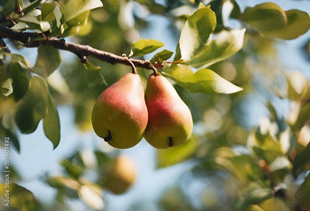 AI generated illustration of ripe pears on a tree branch AI generated illustration of ripe pears on a tree branch