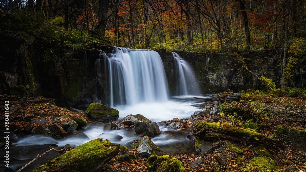 Beautiful waterfall in a forest at fall