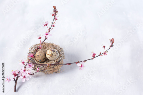  bird's nest with eggs  and a blossoming sakura branch on a light background. spring background. Easter background.