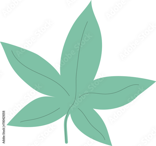 Cannabis leaf isolated in white background. Hemp green leaf template