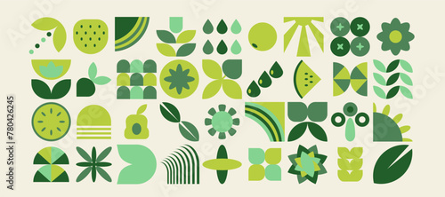 Set of bauhaus natural geometric shapes, pattern in tiles, decorative abstract art, banner, wallpaper, agriculture concept