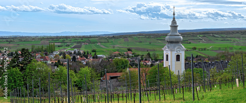  view from a vineyard above the community Gainfarn onto the church tower and southwards until the foothills of the mountainrange 