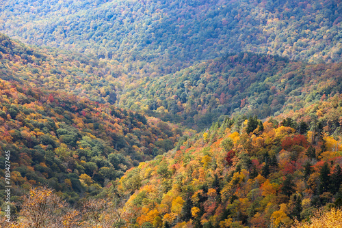 Aerial view of a beautiful forest near the mountains © Wirestock