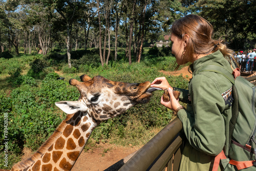 Photography A giraffe at the zoo reaches out with its tongue towards a green leaf