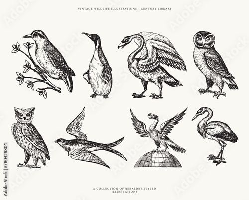 Set of Heraldry Inspired Bird Line Art Illustrations - Includes a Penguin, Swan, Owls, and more